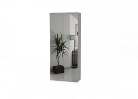 Распашной шкаф Bauhaus 8-2 BMS(Платье - Платье (2 полки) (2)) (850х2400х550)