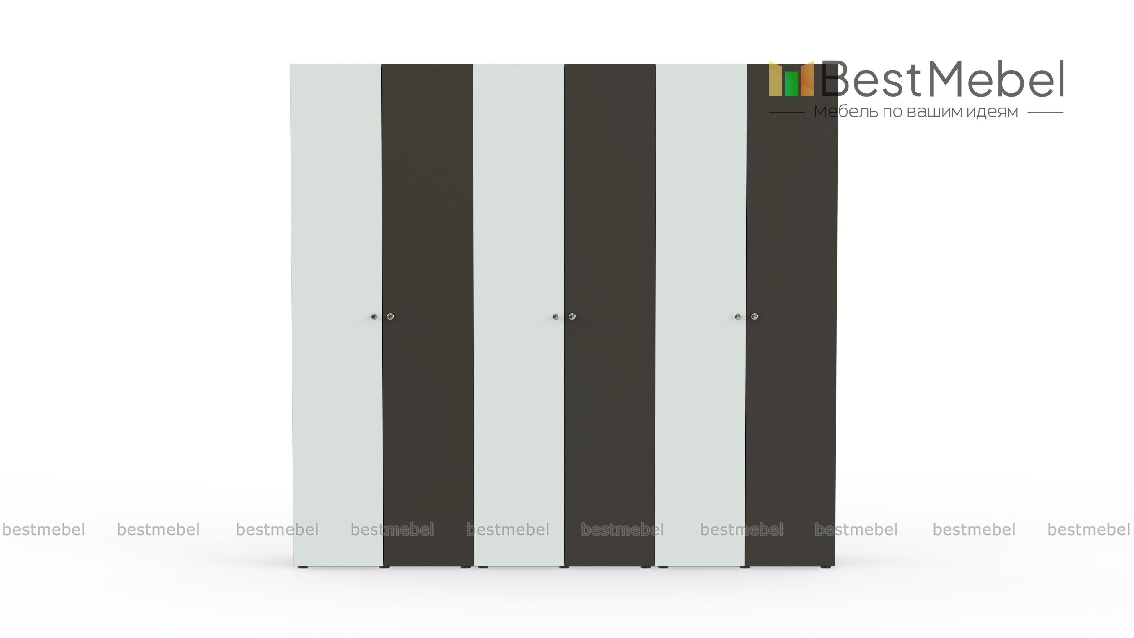 Шкаф распашной Класс 6-2 BMS - Фото