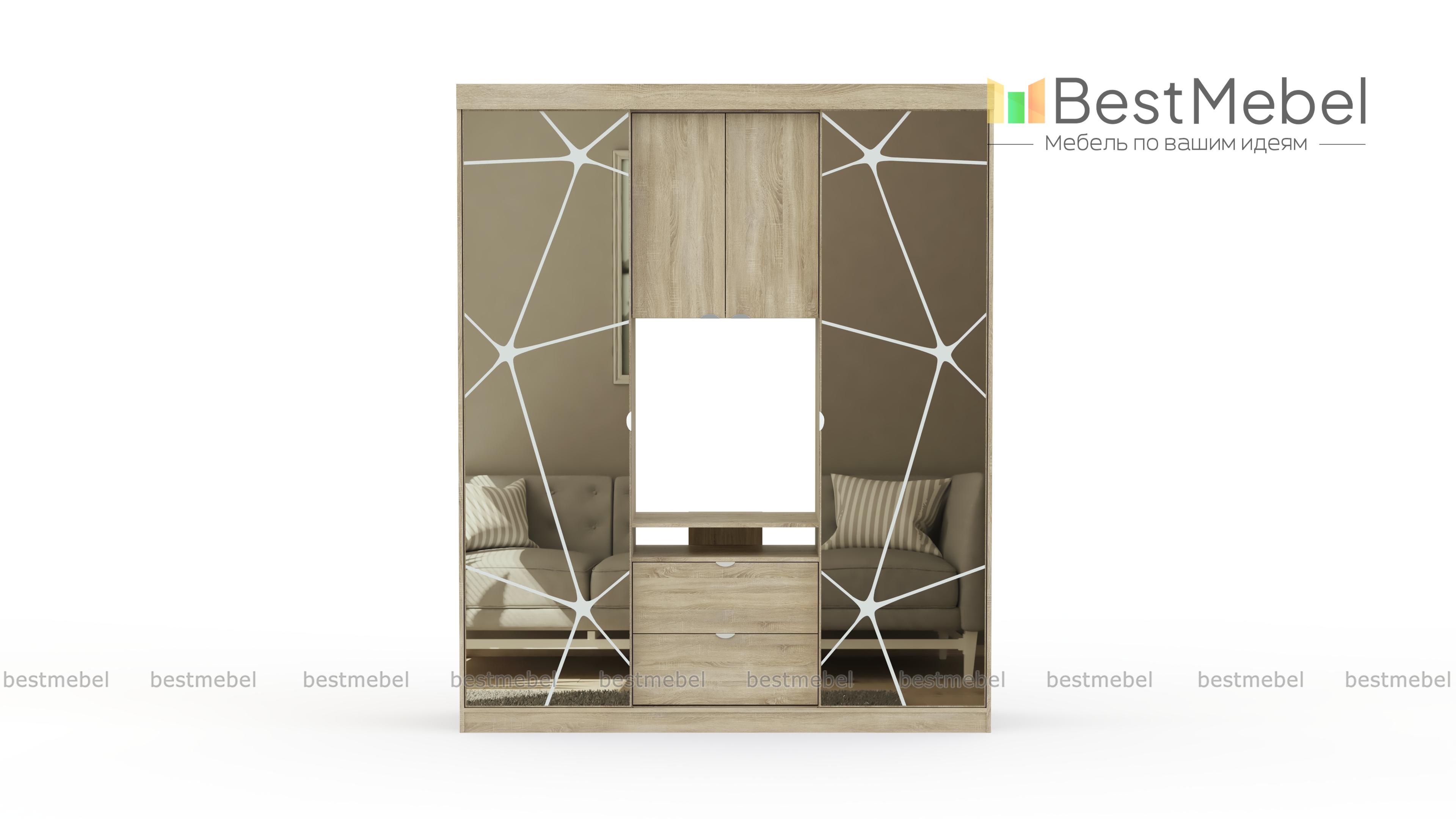 Шкаф-купе Карго BMS - Фото