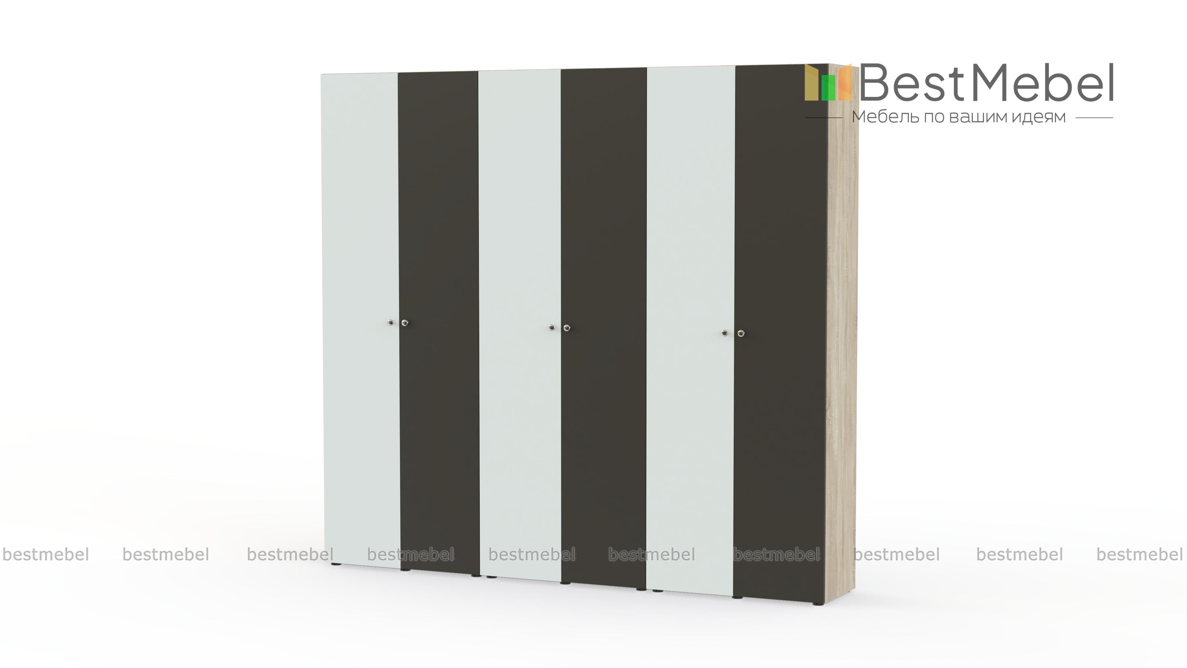 Шкаф распашной Класс 6-2 BMS - Фото